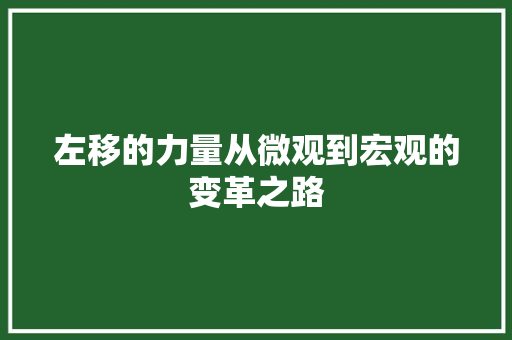 左移的力量从微观到宏观的变革之路