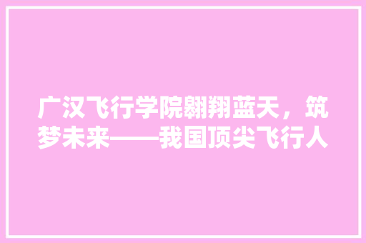 广汉飞行学院翱翔蓝天，筑梦未来——我国顶尖飞行人才培养摇篮  第1张
