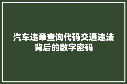 汽车违章查询代码交通违法背后的数字密码