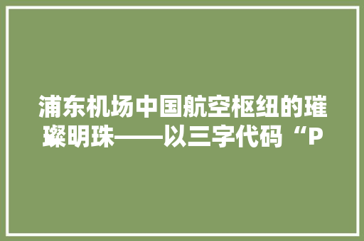 浦东机场中国航空枢纽的璀璨明珠——以三字代码“PVG”为证