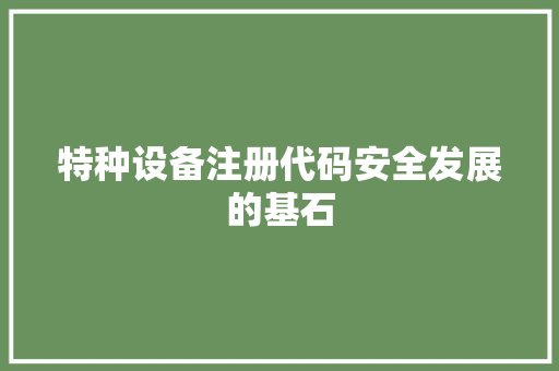 特种设备注册代码安全发展的基石