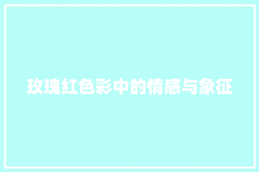 玫瑰红色彩中的情感与象征
