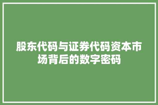 股东代码与证券代码资本市场背后的数字密码