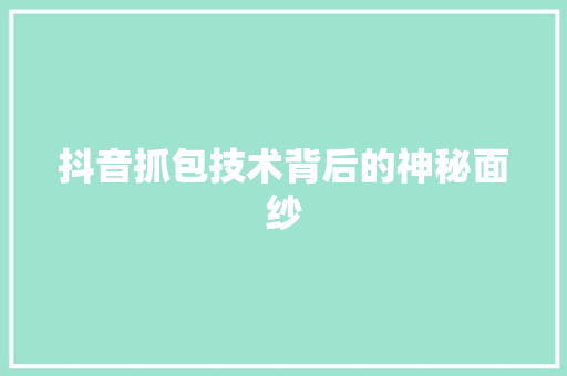 抖音抓包技术背后的神秘面纱