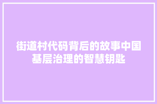 街道村代码背后的故事中国基层治理的智慧钥匙