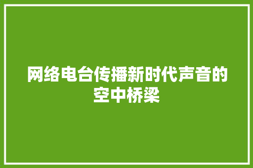 网络电台传播新时代声音的空中桥梁
