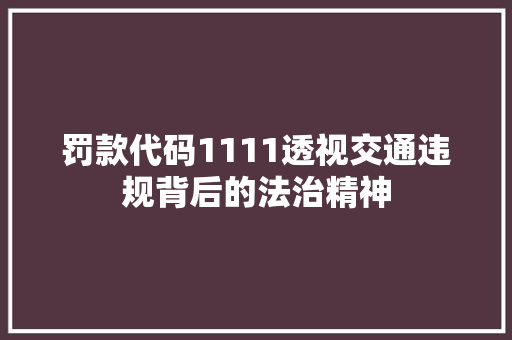 罚款代码1111透视交通违规背后的法治精神
