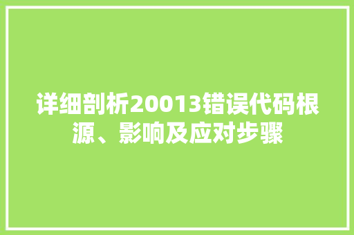 详细剖析20013错误代码根源、影响及应对步骤