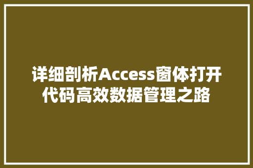 详细剖析Access窗体打开代码高效数据管理之路