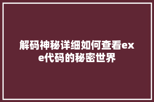 解码神秘详细如何查看exe代码的秘密世界  第1张