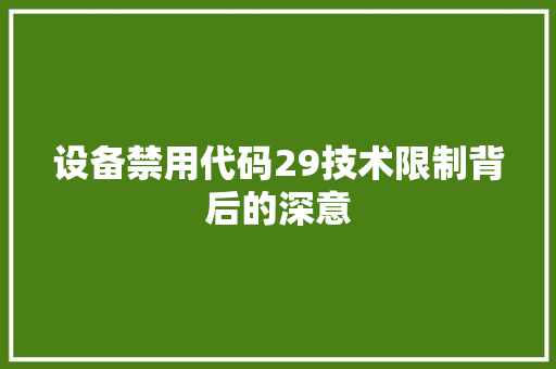 设备禁用代码29技术限制背后的深意
