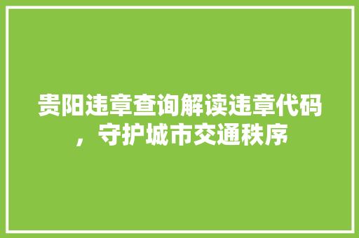 贵阳违章查询解读违章代码，守护城市交通秩序