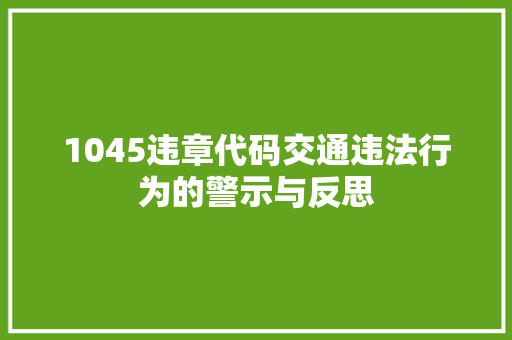 1045违章代码交通违法行为的警示与反思