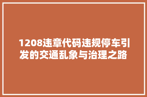1208违章代码违规停车引发的交通乱象与治理之路