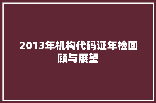 2013年机构代码证年检回顾与展望