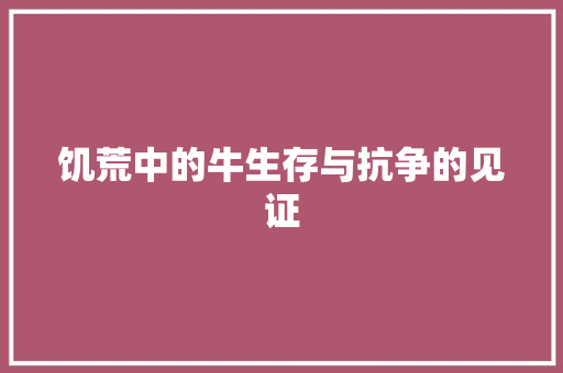 饥荒中的牛生存与抗争的见证