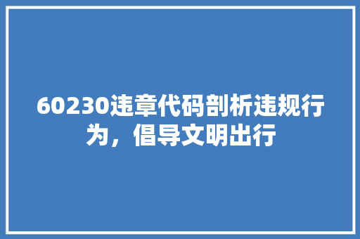 60230违章代码剖析违规行为，倡导文明出行