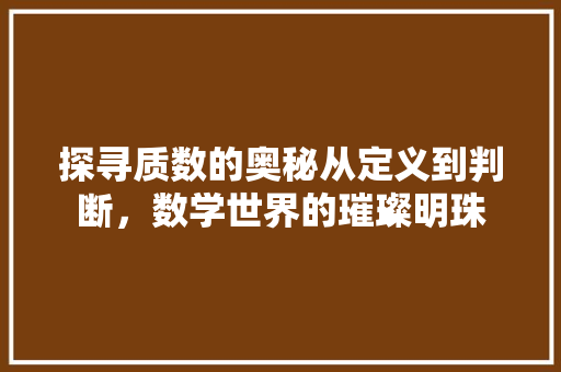 探寻质数的奥秘从定义到判断，数学世界的璀璨明珠