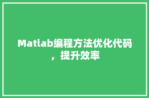 Matlab编程方法优化代码，提升效率