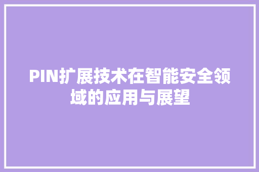PIN扩展技术在智能安全领域的应用与展望