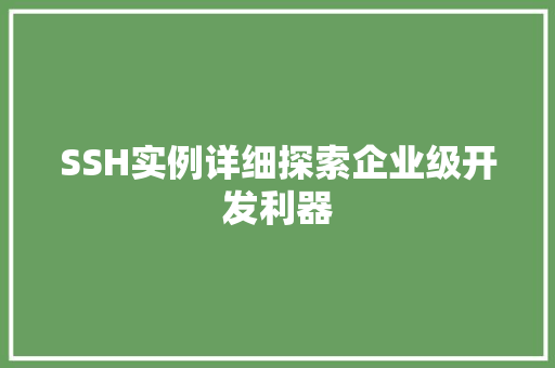 SSH实例详细探索企业级开发利器