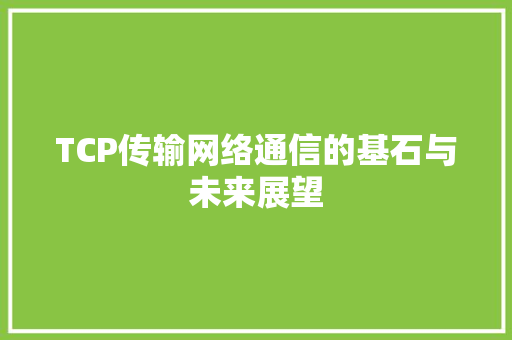 TCP传输网络通信的基石与未来展望