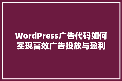 WordPress广告代码如何实现高效广告投放与盈利