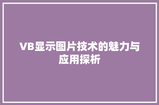 VB显示图片技术的魅力与应用探析