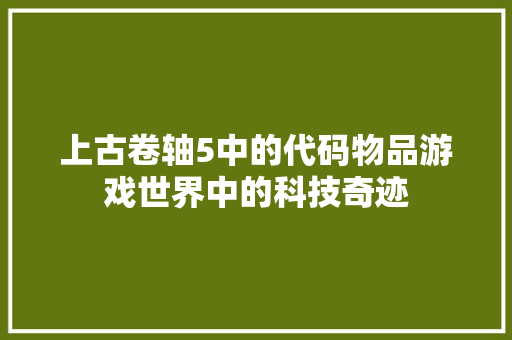 上古卷轴5中的代码物品游戏世界中的科技奇迹