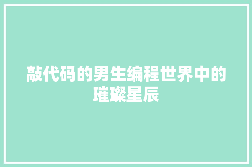 敲代码的男生编程世界中的璀璨星辰