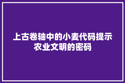 上古卷轴中的小麦代码提示农业文明的密码
