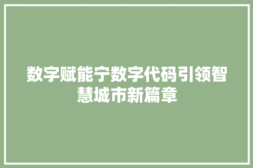 数字赋能宁数字代码引领智慧城市新篇章