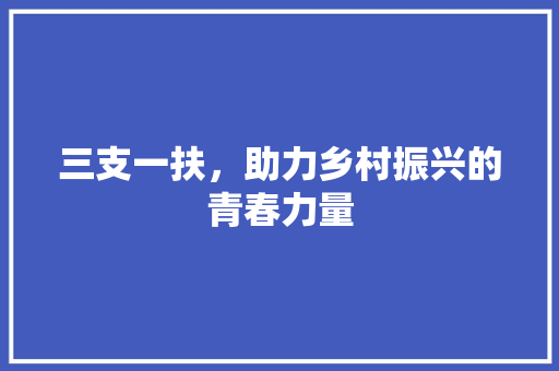 三支一扶，助力乡村振兴的青春力量