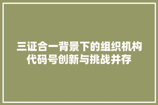 三证合一背景下的组织机构代码号创新与挑战并存