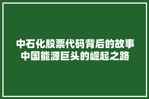 中石化股票代码背后的故事中国能源巨头的崛起之路