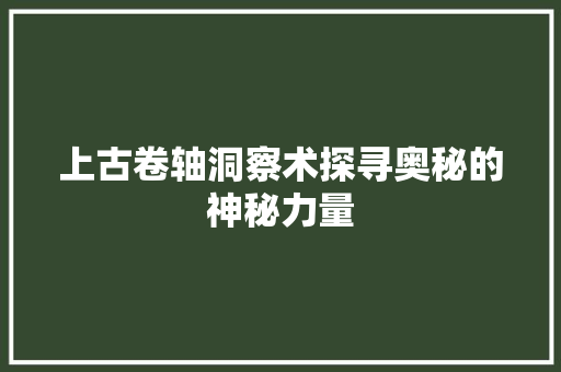 上古卷轴洞察术探寻奥秘的神秘力量