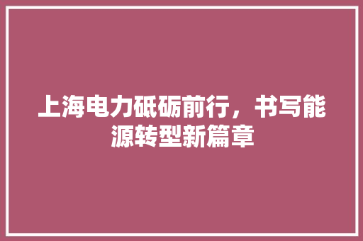 上海电力砥砺前行，书写能源转型新篇章