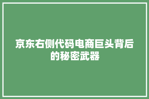 京东右侧代码电商巨头背后的秘密武器