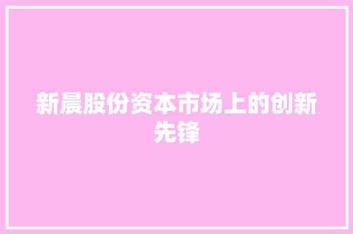 新晨股份资本市场上的创新先锋
