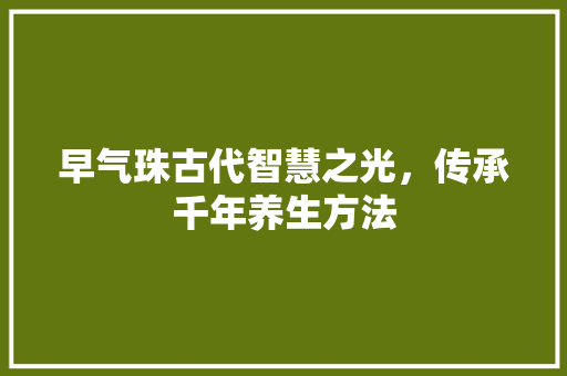 早气珠古代智慧之光，传承千年养生方法