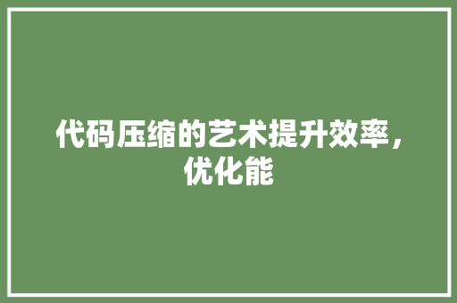 代码压缩的艺术提升效率，优化能