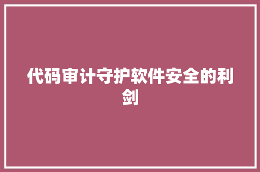 代码审计守护软件安全的利剑
