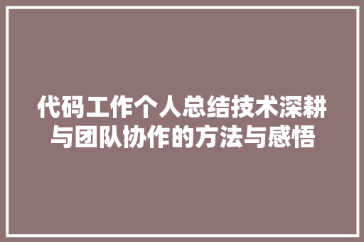 代码工作个人总结技术深耕与团队协作的方法与感悟