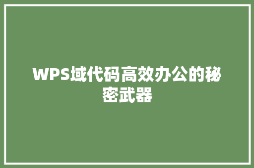 WPS域代码高效办公的秘密武器