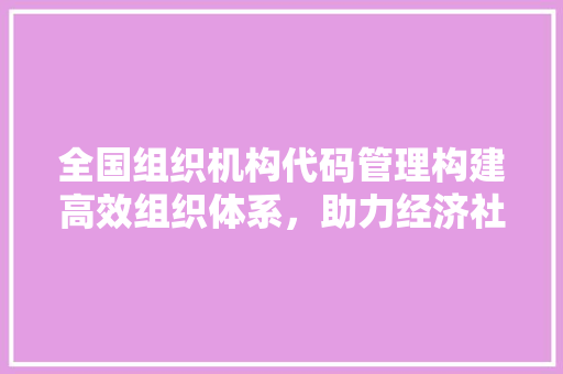 全国组织机构代码管理构建高效组织体系，助力经济社会高质量发展