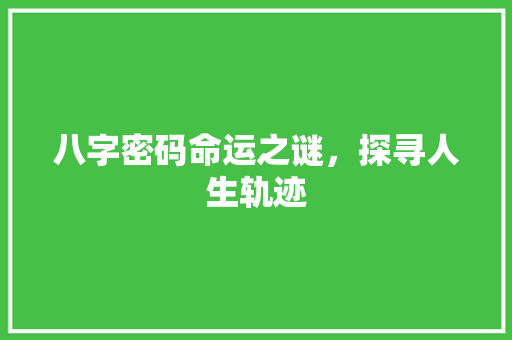 八字密码命运之谜，探寻人生轨迹