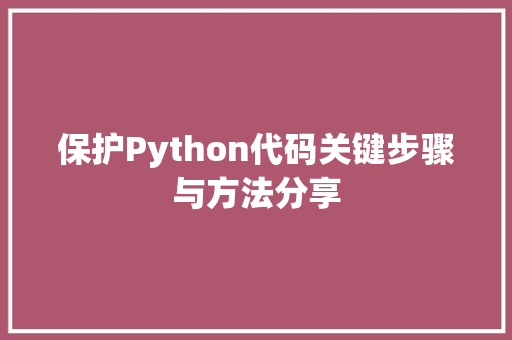 保护Python代码关键步骤与方法分享