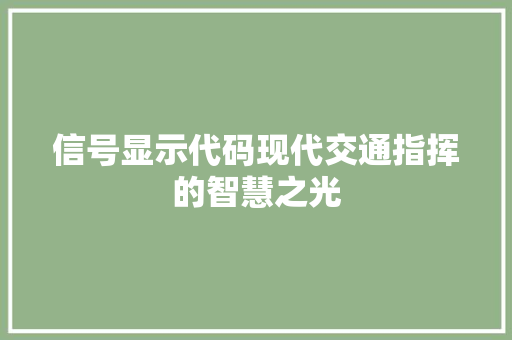 信号显示代码现代交通指挥的智慧之光