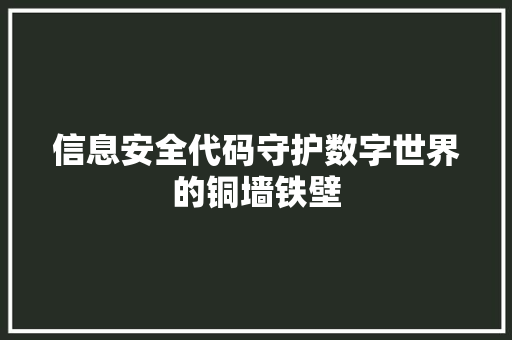 信息安全代码守护数字世界的铜墙铁壁
