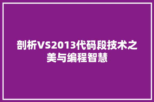 剖析VS2013代码段技术之美与编程智慧  第1张